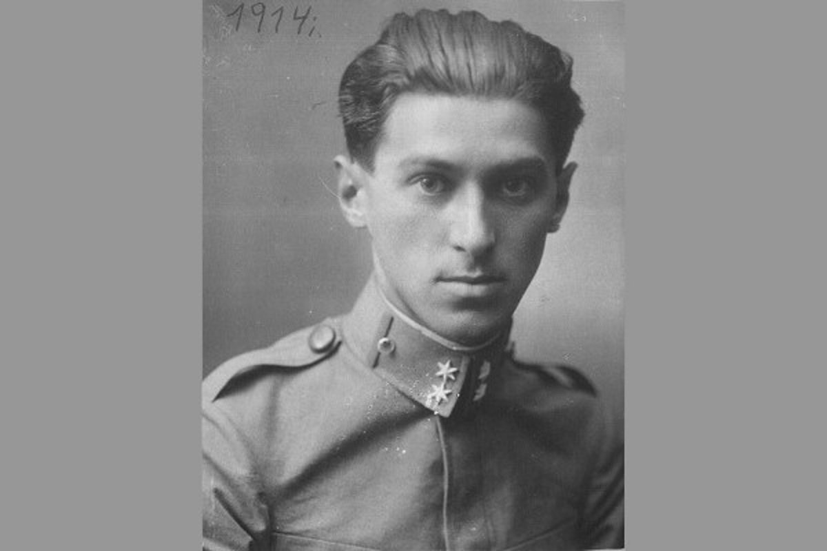 književnost
